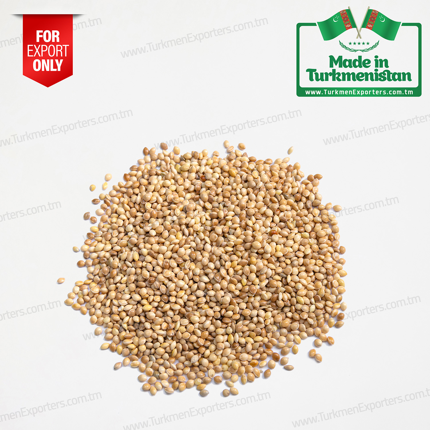 Millet seeds Made in Turkmenistan | Agricultural complex of Turkmenistan