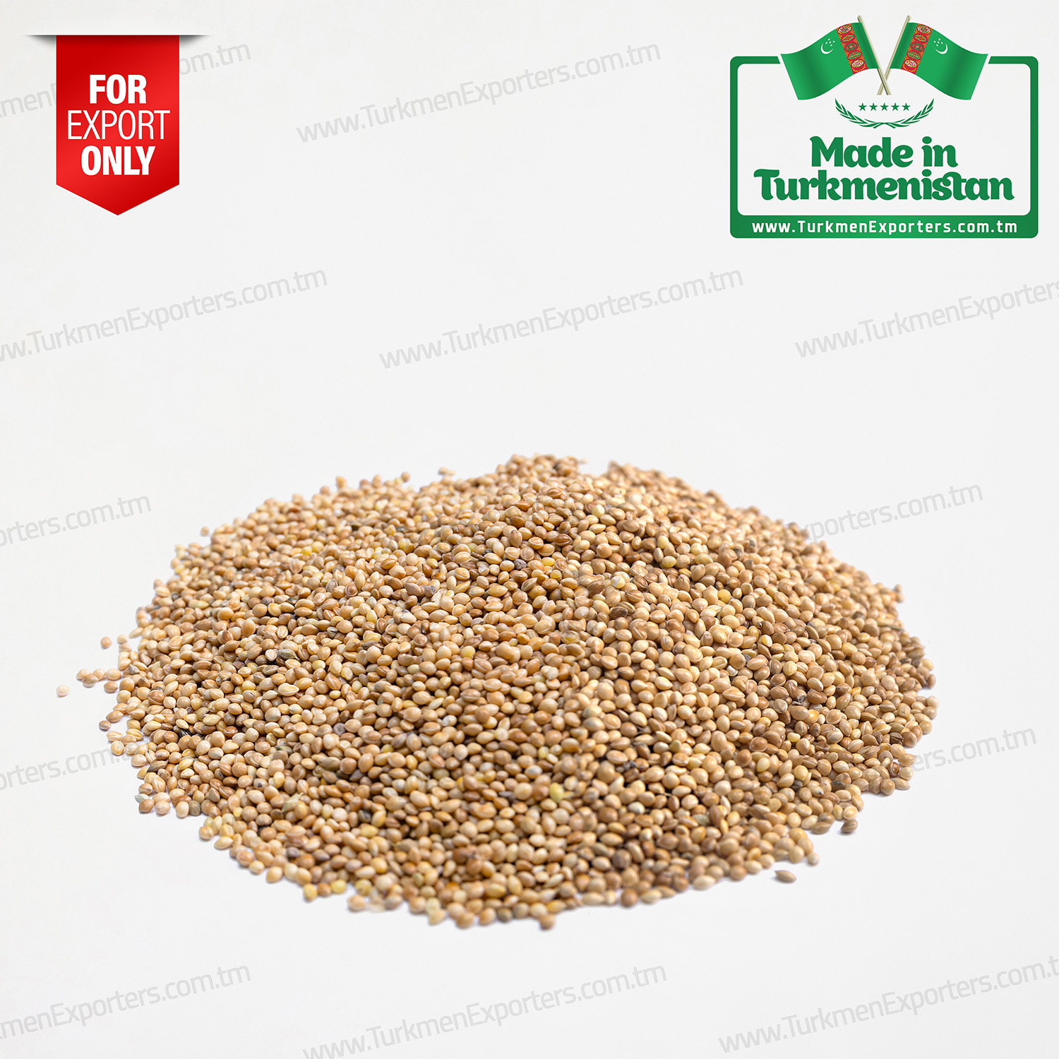 Millet seeds in Turkmenistan wholesale for export | Agricultural complex of Turkmenistan