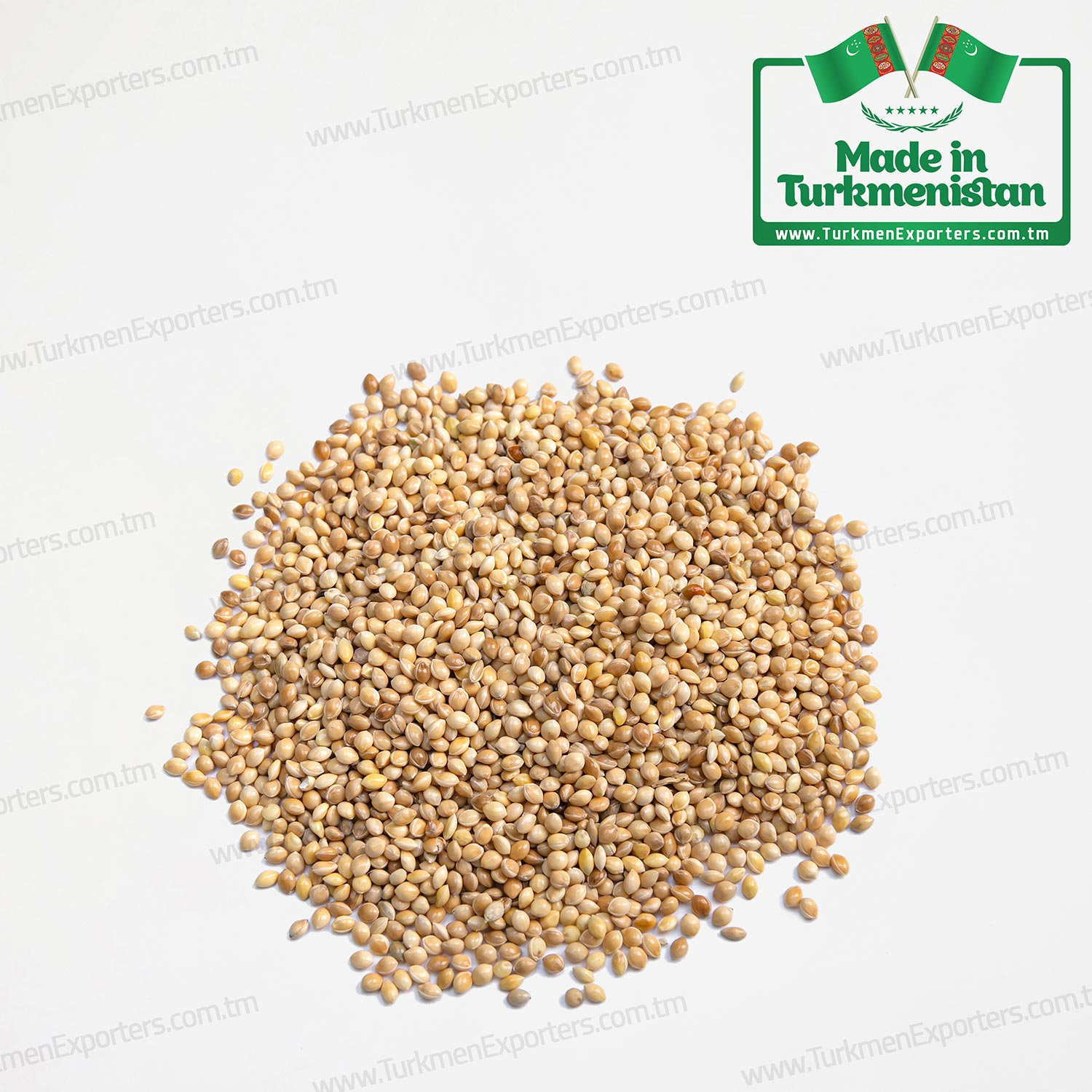 Millet seeds Made in Turkmenistan | Agricultural complex of Turkmenistan