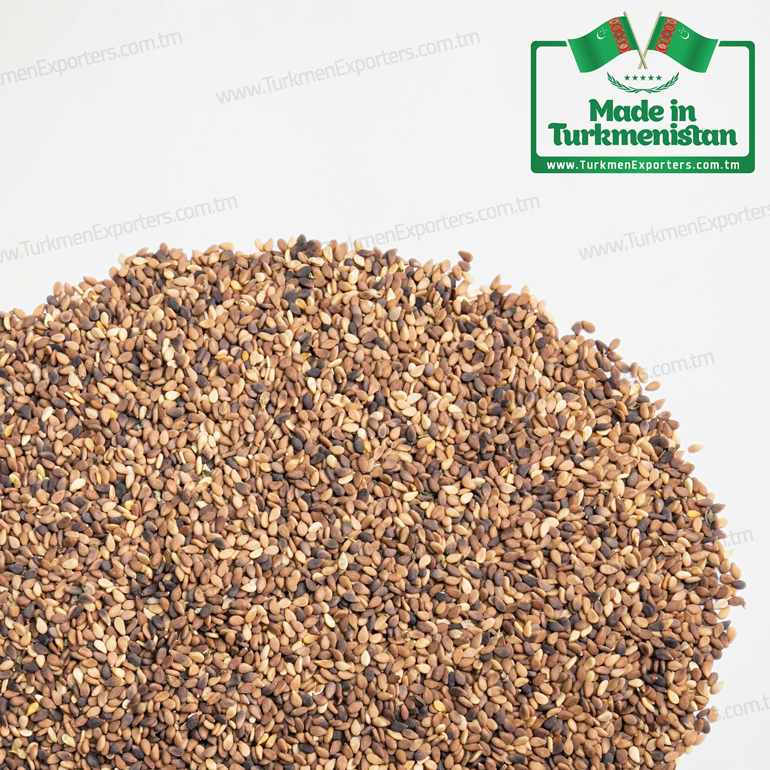 Sesame seeds in Turkmenistan wholesale for export | Agricultural complex of Turkmenistan