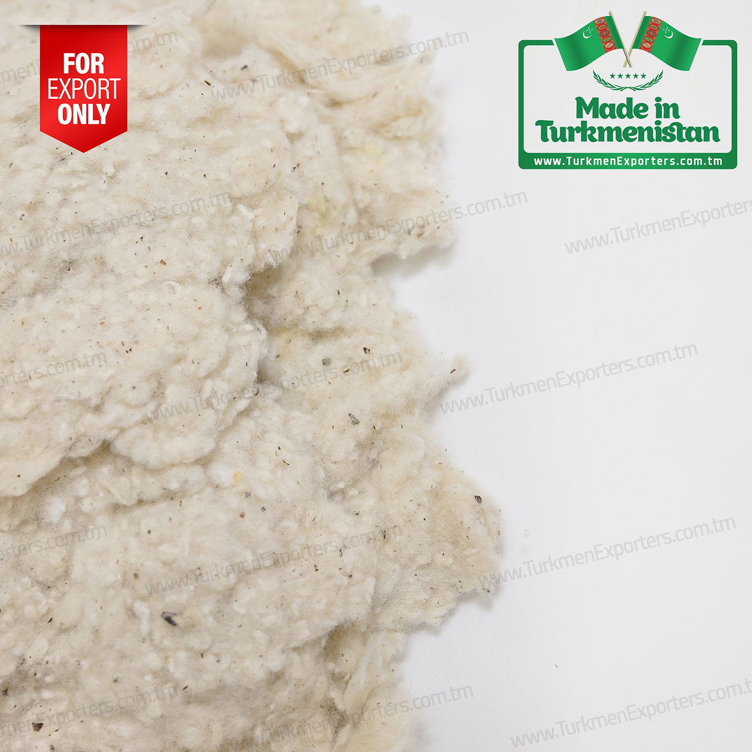 Pagta linti Türkmenistanda öndürilen | Türkmen Eksport, Import & Söwda Hyzmatlary HK