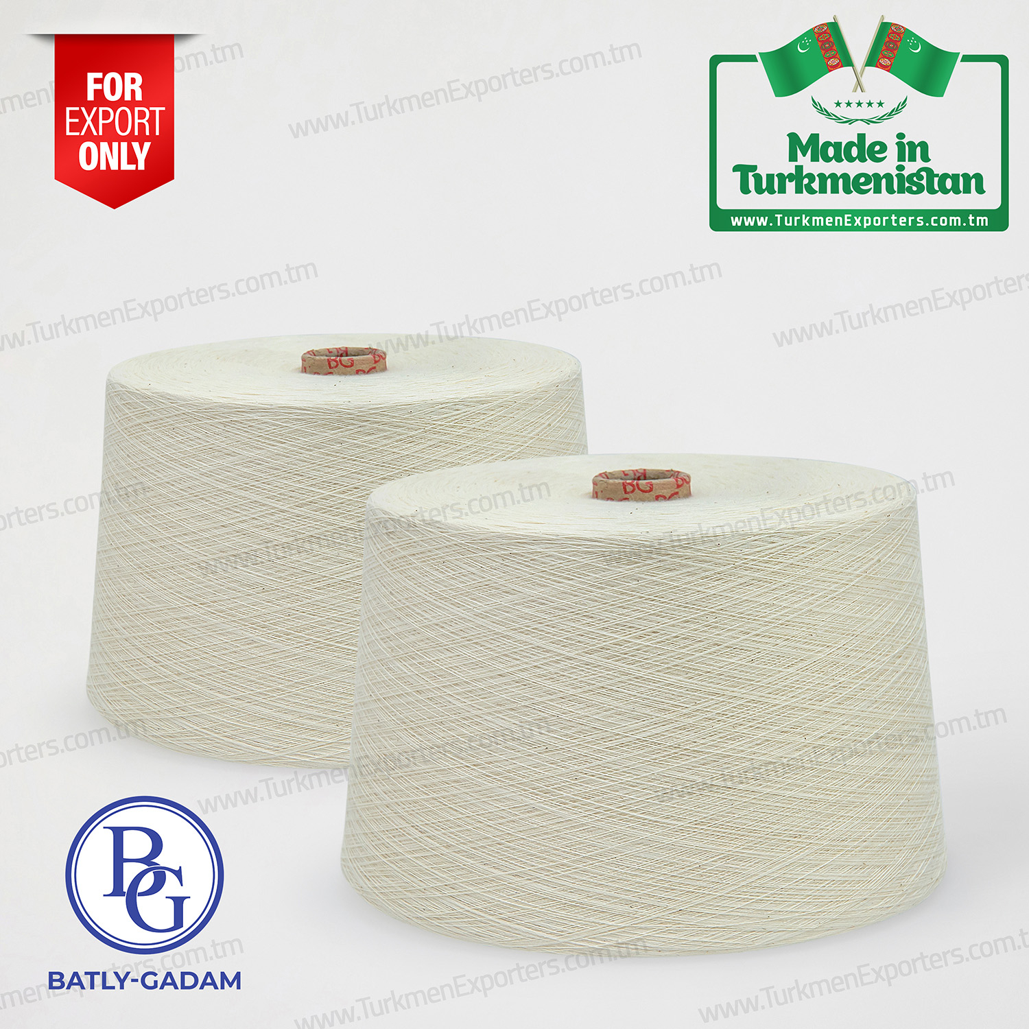 Ring spun twisted cotton yarn | Batly Gadam individual enterprise