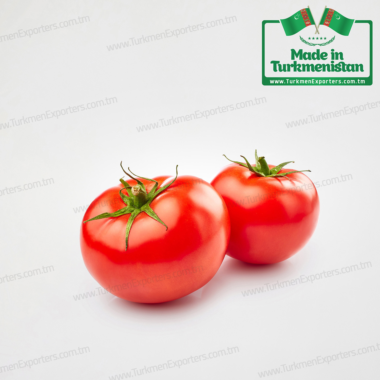 Fresh tomato in Turkmenistan wholesale for export | Greenhouse Tomatoes of Turkmenistan