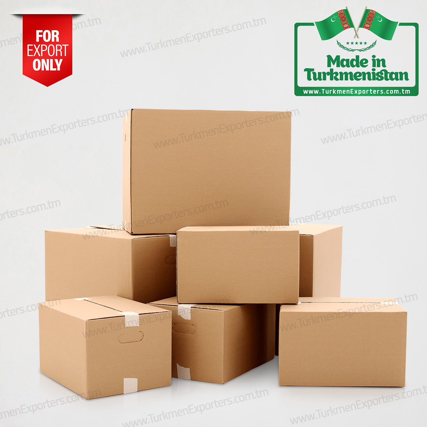 Corrugated cardboard box in Turkmenistan | Owadan Gap economic society