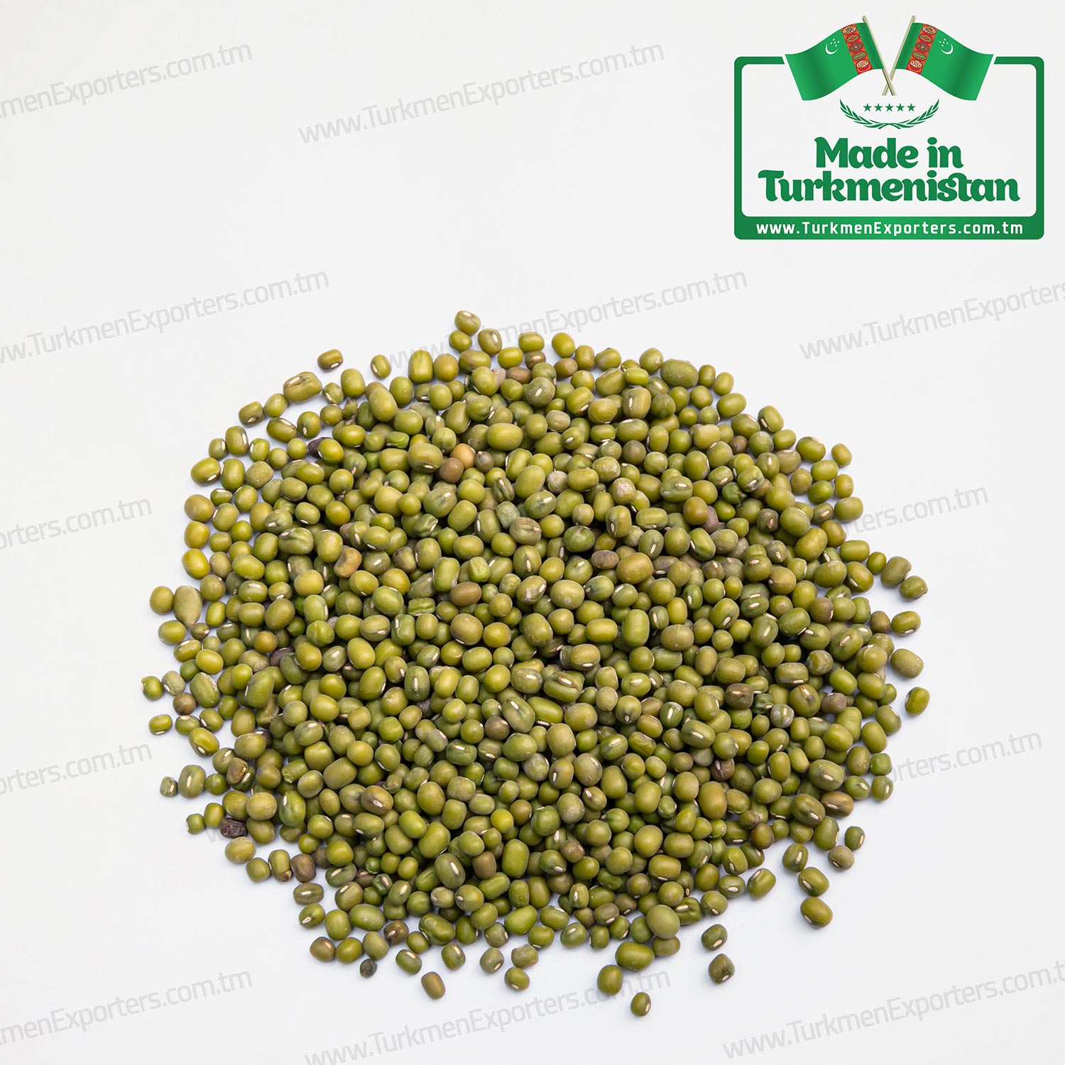 Green mung beans wholesale for export from Turkmenistan | Agricultural complex of Turkmenistan