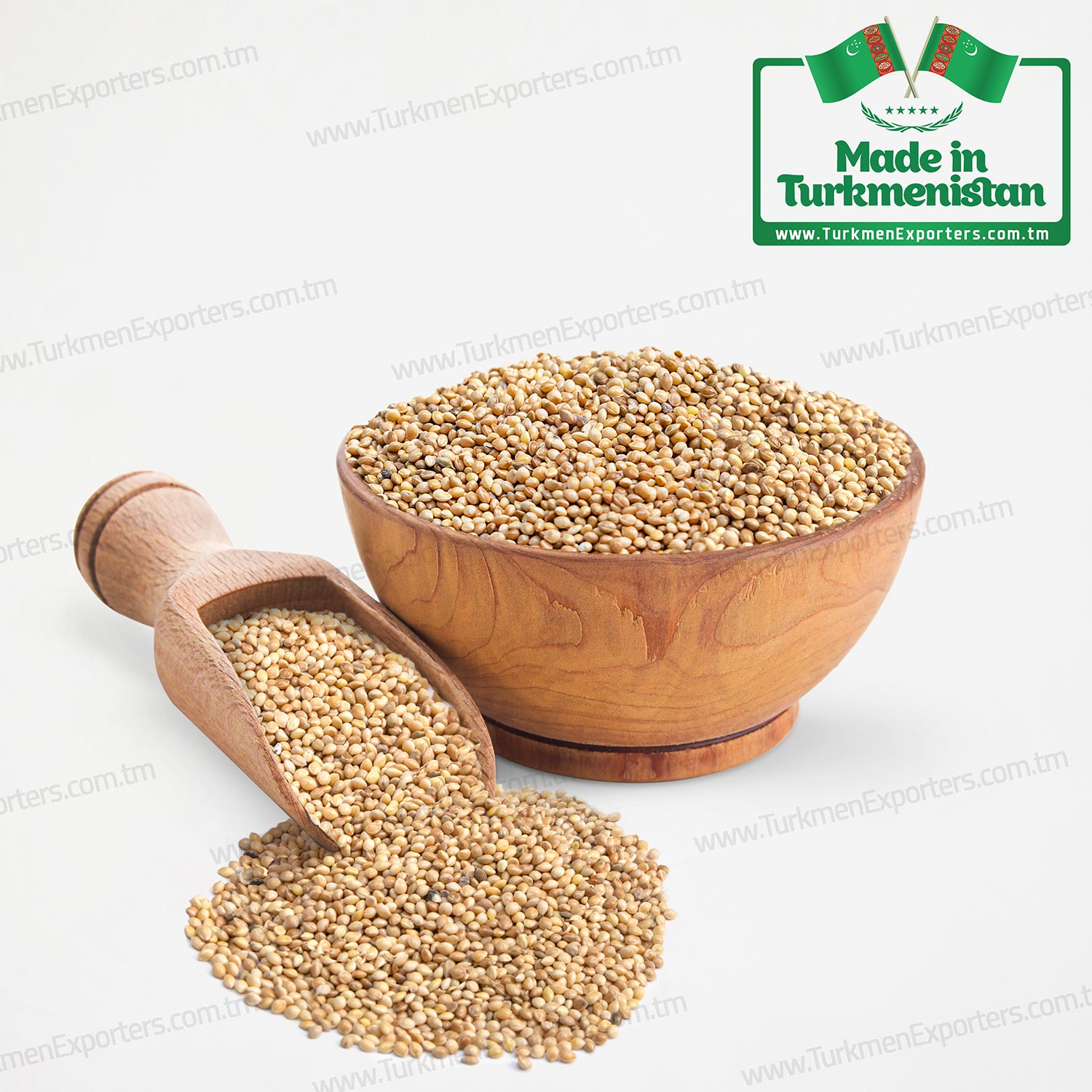 Millet seeds wholesale from Turkmenistan | Agricultural complex of Turkmenistan