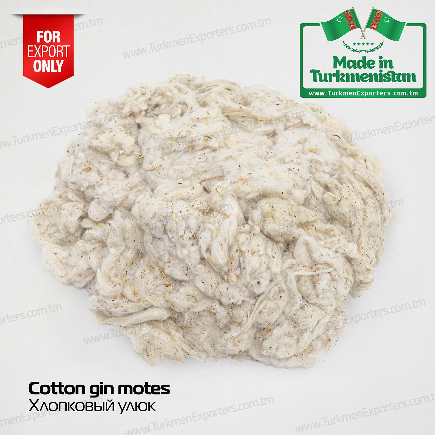 Turkmenistan cotton gin motes | Turkmen Export Trading Services Company