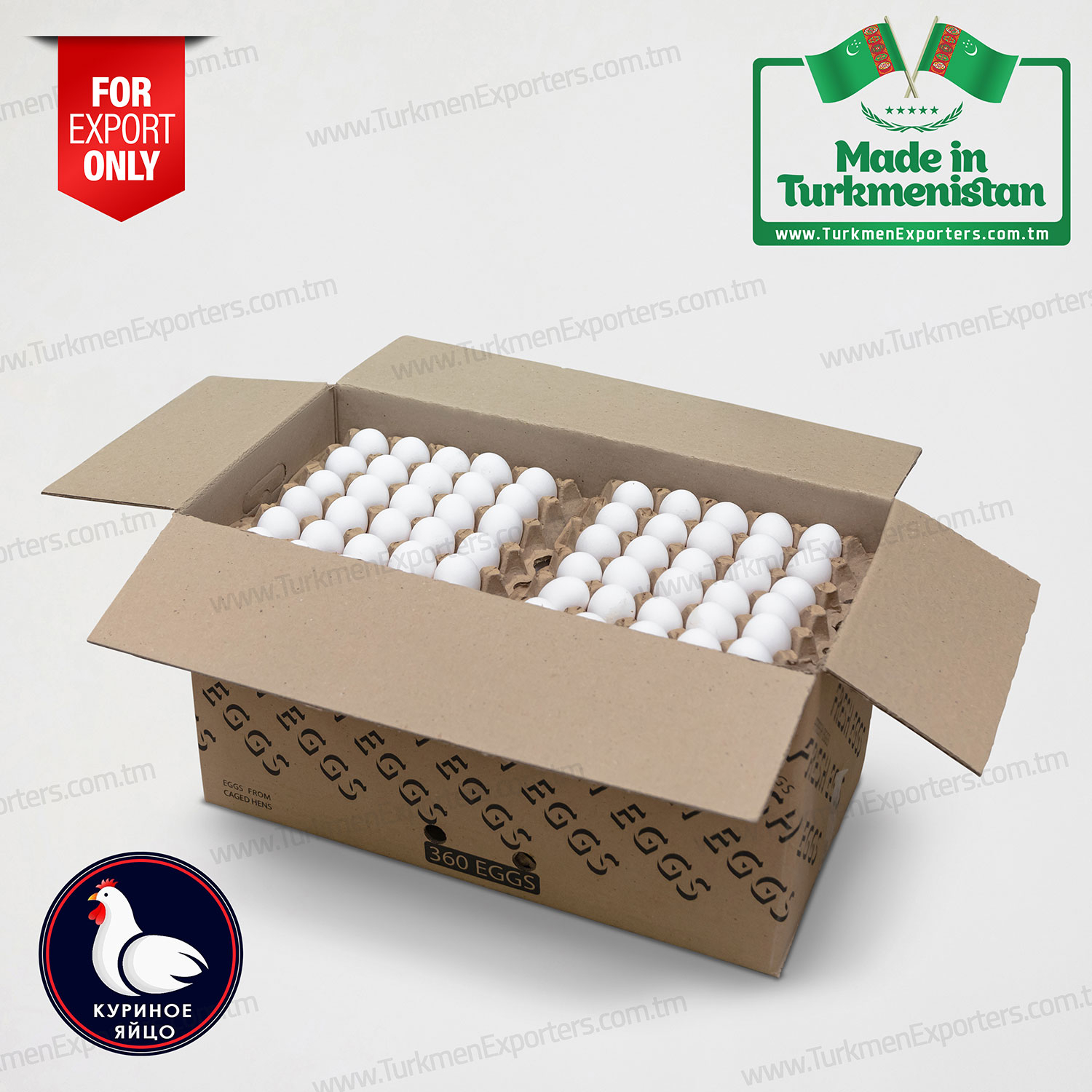 Куриное яйцо оптом из Туркменистана | Гурван ХО